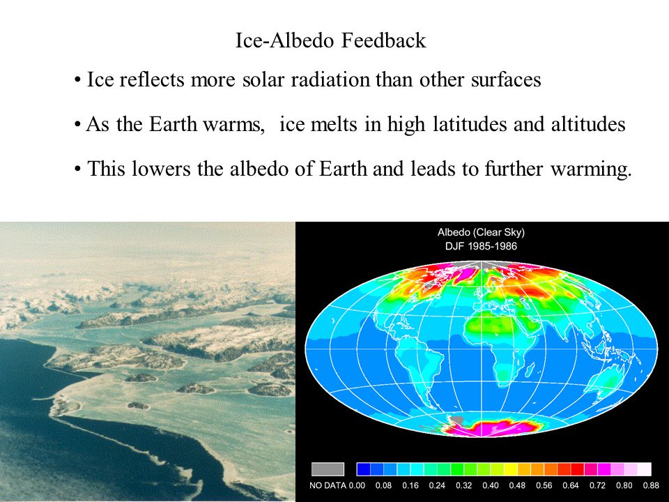 Ice-Albedo Feedback As the Earth warms, ice melts in high latitudes and altitudes This lowers the albedo of Earth and leads to further warming.