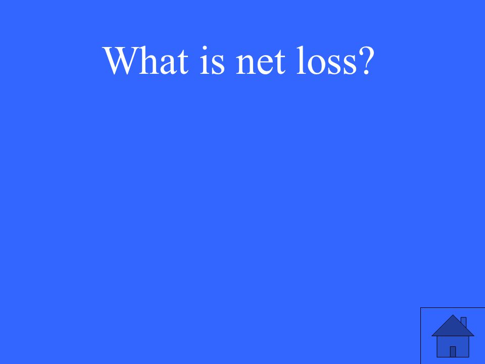 What is net loss