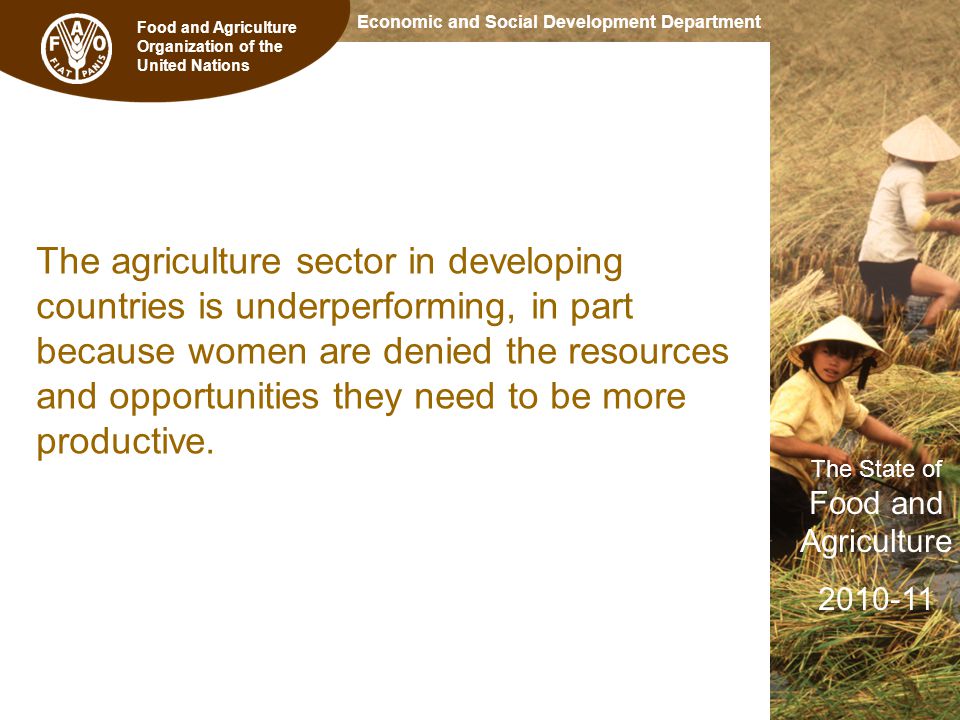 Food and Agriculture Organization of the United Nations The State of Food and Agriculture Economic and Social Development Department The agriculture sector in developing countries is underperforming, in part because women are denied the resources and opportunities they need to be more productive.