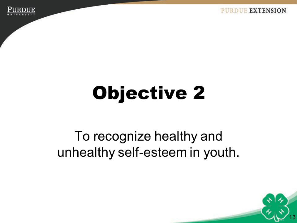 Objective 2 To recognize healthy and unhealthy self-esteem in youth. 13