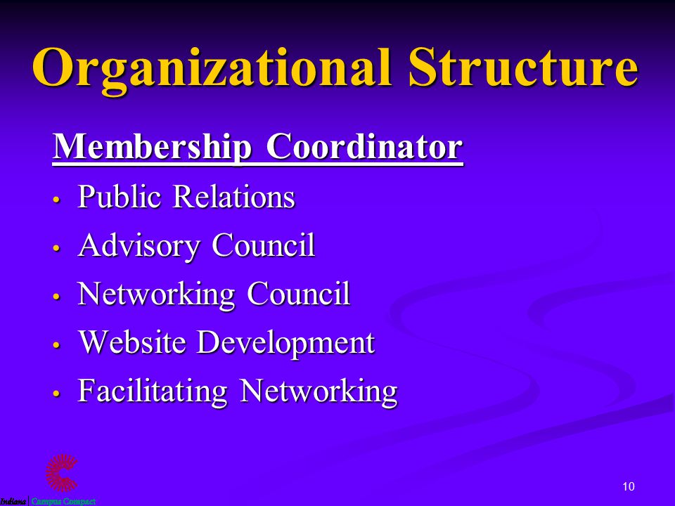 10 Organizational Structure Membership Coordinator Public Relations Public Relations Advisory Council Advisory Council Networking Council Networking Council Website Development Website Development Facilitating Networking Facilitating Networking