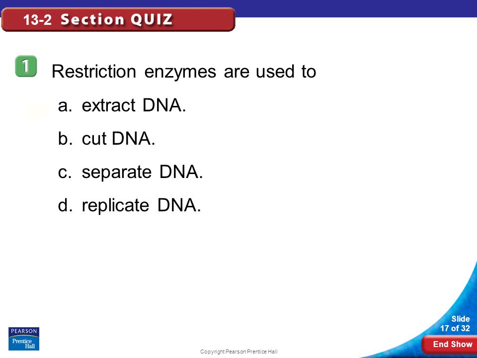 End Show Slide 17 of 32 Copyright Pearson Prentice Hall 13-2 Restriction enzymes are used to a.extract DNA.