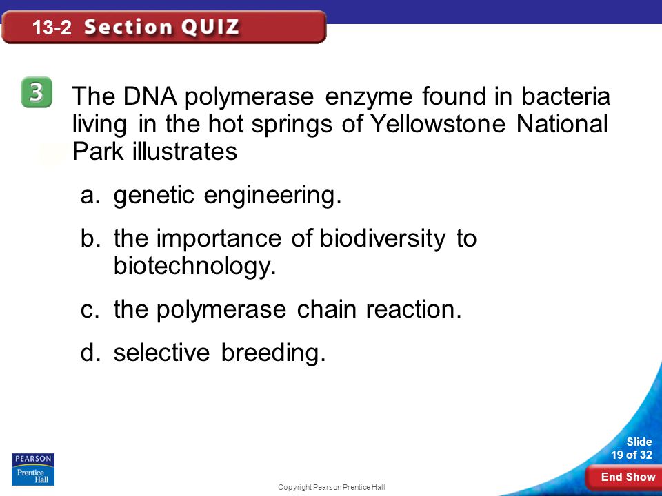 End Show Slide 19 of 32 Copyright Pearson Prentice Hall 13-2 The DNA polymerase enzyme found in bacteria living in the hot springs of Yellowstone National Park illustrates a.genetic engineering.