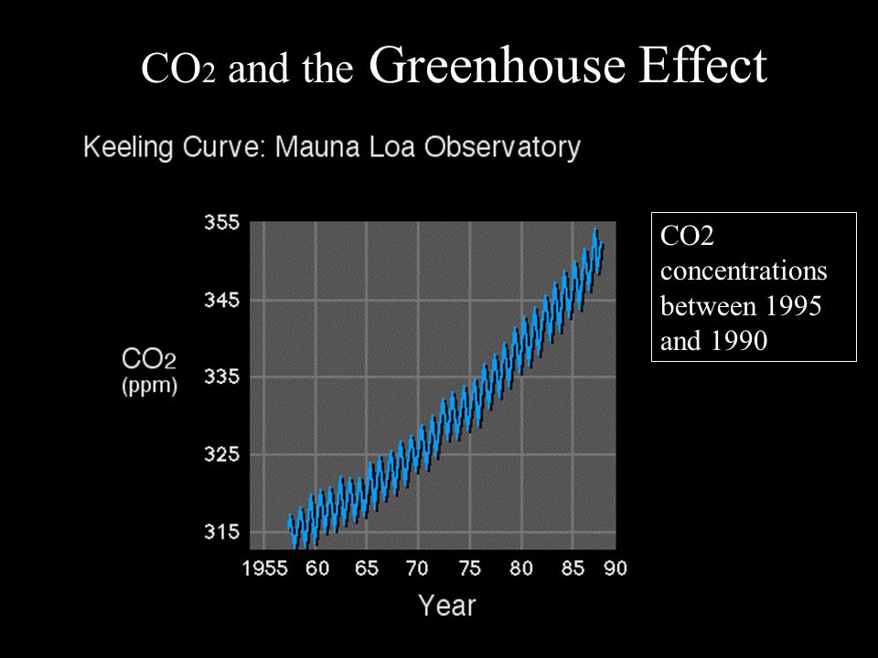 CO 2 and the Greenhouse Effect CO2 concentrations between 1995 and 1990