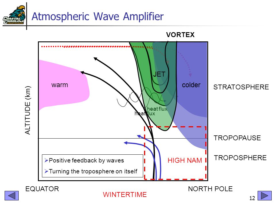12 Atmospheric Wave Amplifier VORTEX warm cold JET NORTH POLEEQUATOR TROPOSPHERE STRATOSPHERE TROPOPAUSE ALTITUDE (km) WINTERTIME heat flux colder JET VORTEX heat flux colder JET HIGH NAM  Positive feedback by waves  Turning the troposphere on itself