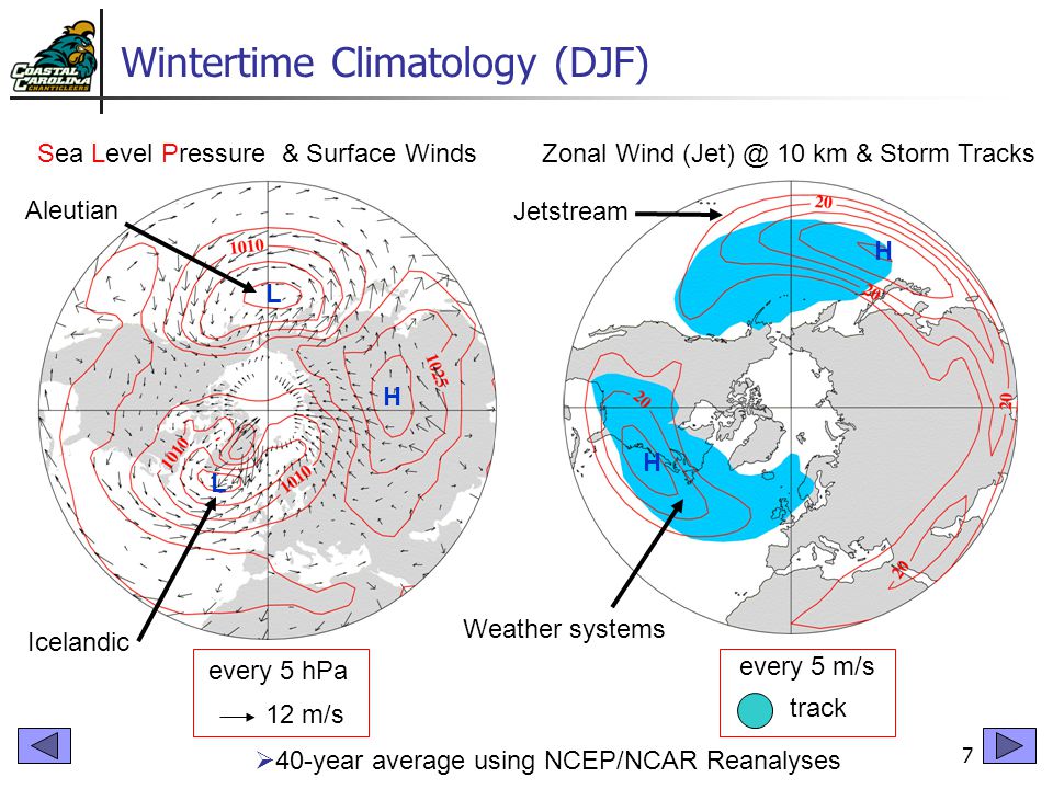 7 Wintertime Climatology (DJF) Sea Level Pressure & Surface WindsZonal Wind 10 km & Storm Tracks  40-year average using NCEP/NCAR Reanalyses every 5 hPa 12 m/s H L H L H every 5 m/s track Jetstream Weather systems Aleutian Icelandic
