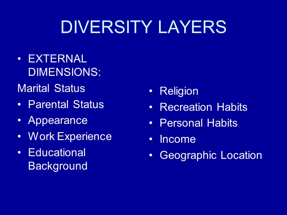 DIVERSITY LAYERS EXTERNAL DIMENSIONS: Marital Status Parental Status Appearance Work Experience Educational Background Religion Recreation Habits Personal Habits Income Geographic Location