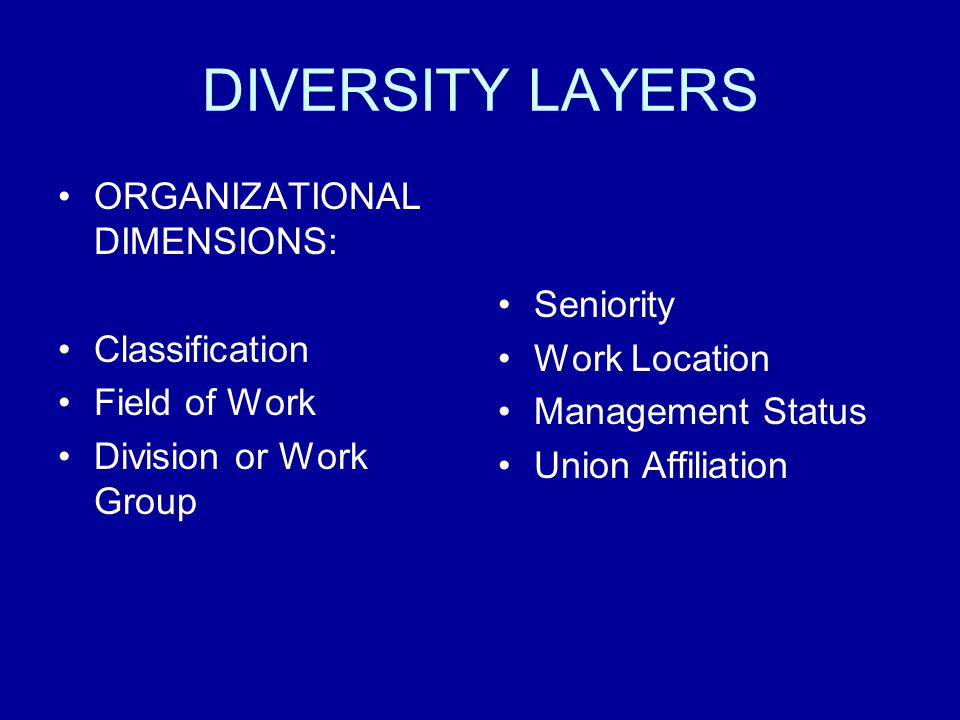 DIVERSITY LAYERS ORGANIZATIONAL DIMENSIONS: Classification Field of Work Division or Work Group Seniority Work Location Management Status Union Affiliation