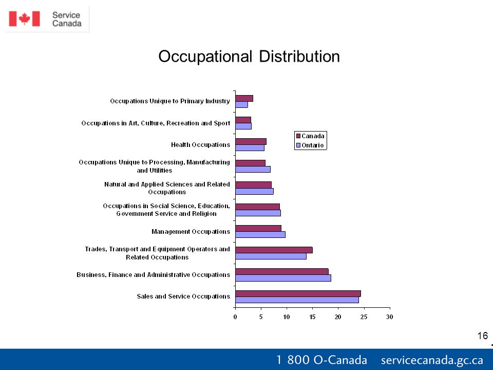16 Occupational Distribution