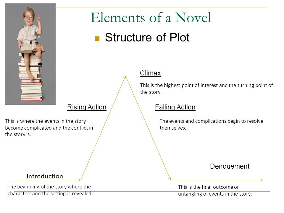 Elements of a Novel Structure of Plot Climax Rising Action Falling Action Denouement Introduction The beginning of the story where the characters and the setting is revealed.