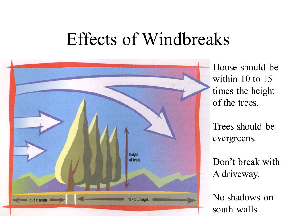 Effects of Windbreaks House should be within 10 to 15 times the height of the trees.