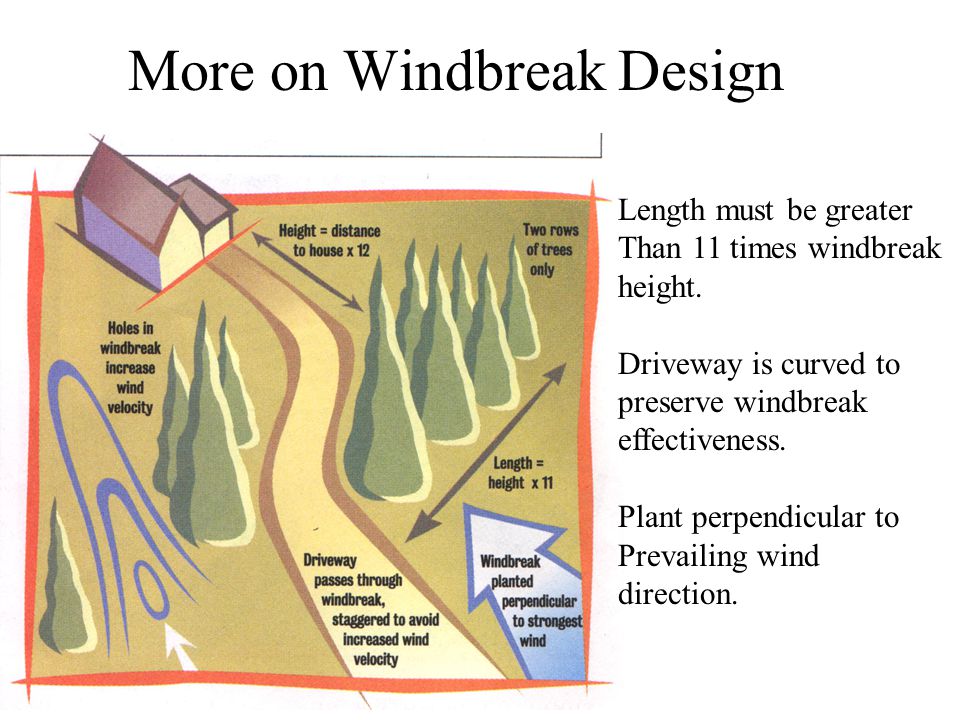 More on Windbreak Design Length must be greater Than 11 times windbreak height.
