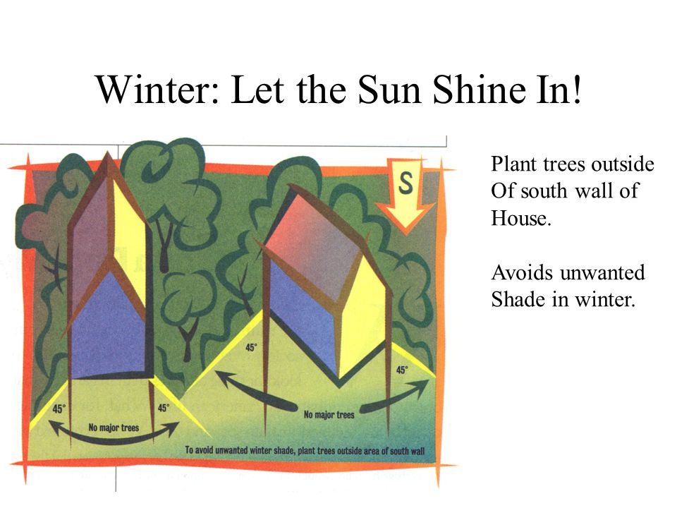 Winter: Let the Sun Shine In. Plant trees outside Of south wall of House.