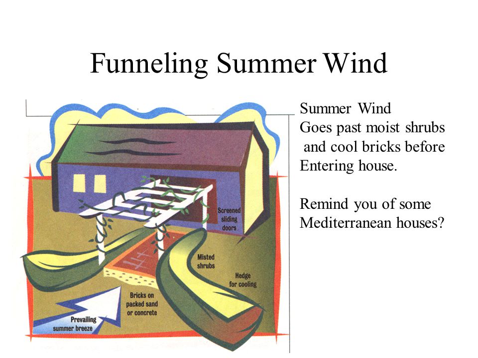 Funneling Summer Wind Summer Wind Goes past moist shrubs and cool bricks before Entering house.