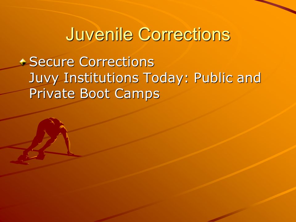 Juvenile Corrections Secure Corrections Juvy Institutions Today: Public and Private Boot Camps