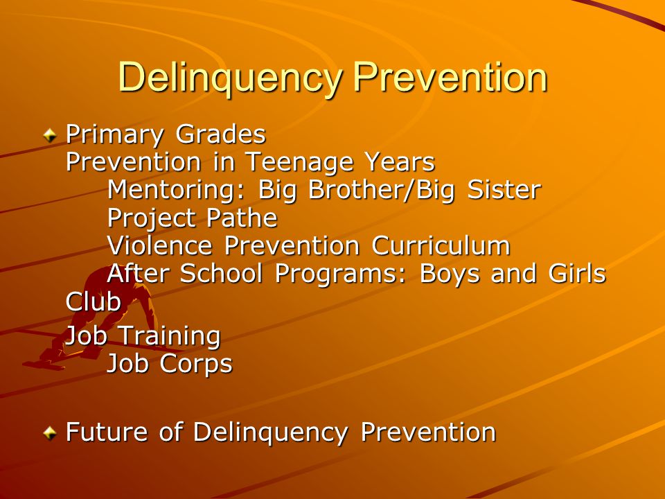Delinquency Prevention Primary Grades Prevention in Teenage Years Mentoring: Big Brother/Big Sister Project Pathe Violence Prevention Curriculum After School Programs: Boys and Girls Club Job Training Job Corps Future of Delinquency Prevention