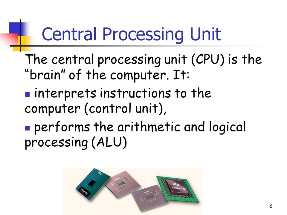8 Central Processing Unit The central processing unit (CPU) is the brain of the computer.