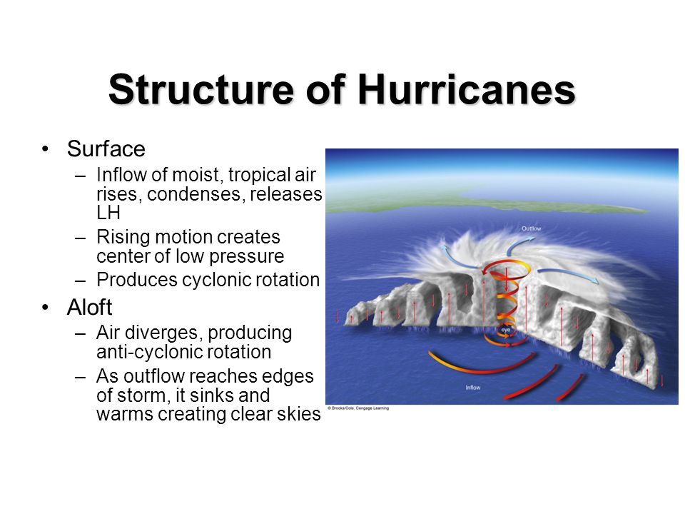 Structure of Hurricanes Surface –Inflow of moist, tropical air rises, condenses, releases LH –Rising motion creates center of low pressure –Produces cyclonic rotation Aloft –Air diverges, producing anti-cyclonic rotation –As outflow reaches edges of storm, it sinks and warms creating clear skies
