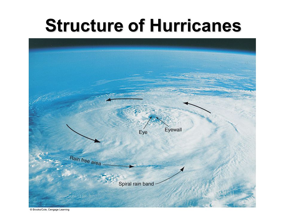 Structure of Hurricanes