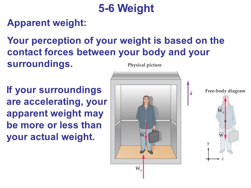 5-6 Weight Apparent weight: Your perception of your weight is based on the contact forces between your body and your surroundings.