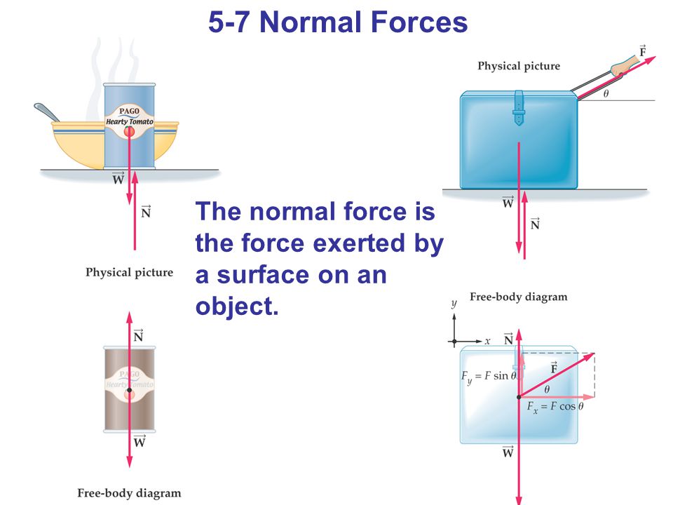 5-7 Normal Forces The normal force is the force exerted by a surface on an object.