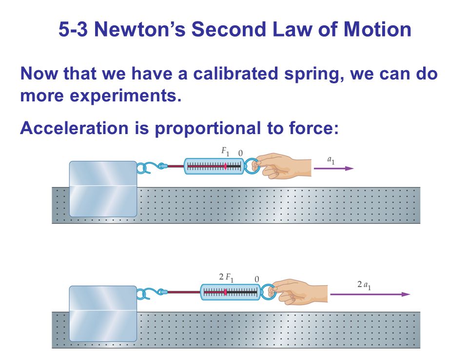 5-3 Newton’s Second Law of Motion Now that we have a calibrated spring, we can do more experiments.