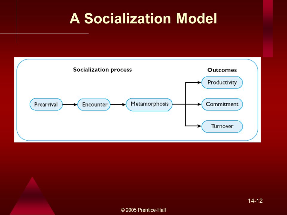© 2005 Prentice-Hall A Socialization Model