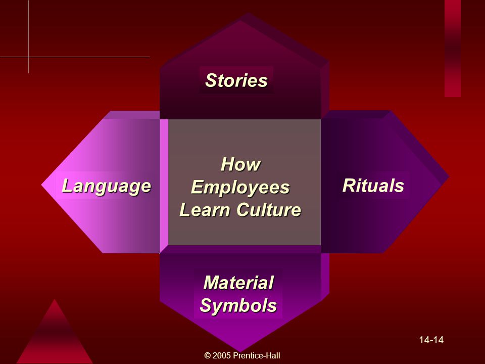 © 2005 Prentice-Hall HowEmployees Learn Culture Language MaterialSymbols Rituals Stories