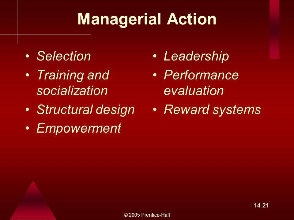 © 2005 Prentice-Hall Managerial Action Selection Training and socialization Structural design Empowerment Leadership Performance evaluation Reward systems