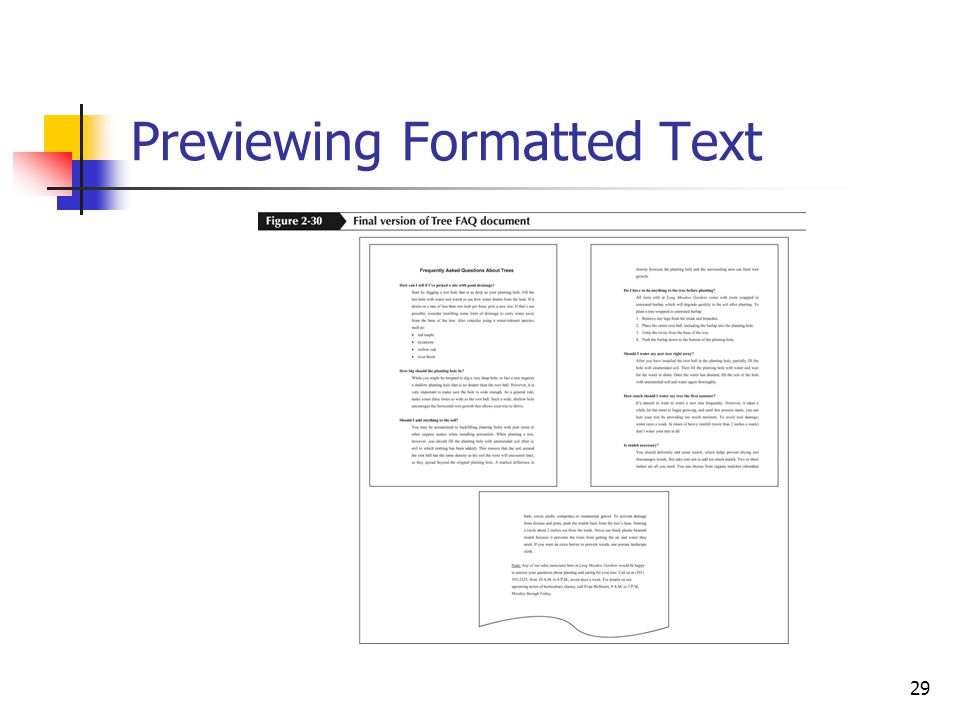 29 Previewing Formatted Text