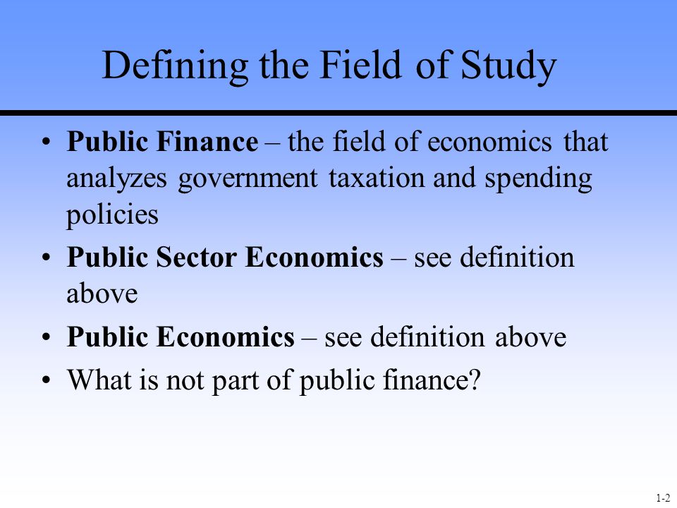 Public Finance (The Mcgraw-Hill Series in Economics)  pdf