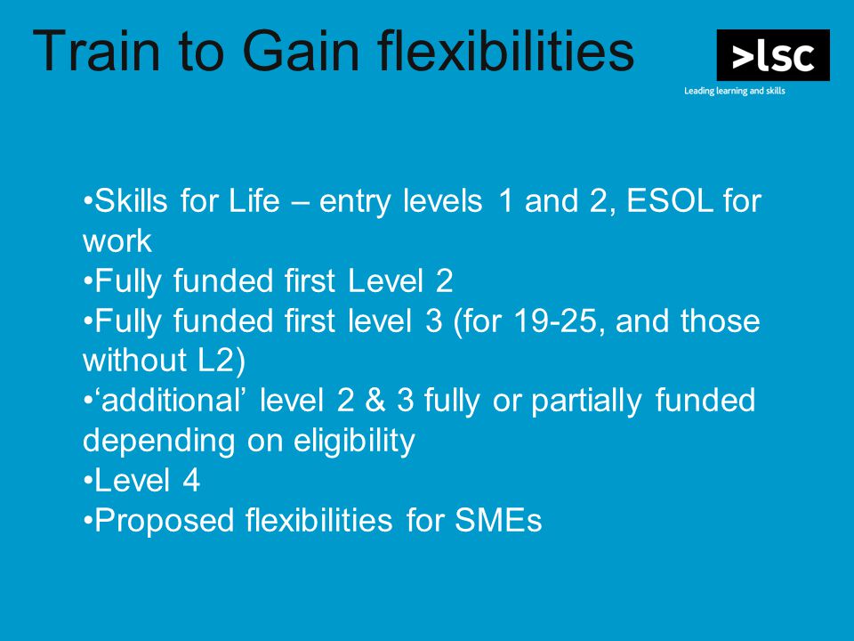 Train to Gain flexibilities Skills for Life – entry levels 1 and 2, ESOL for work Fully funded first Level 2 Fully funded first level 3 (for 19-25, and those without L2) ‘additional’ level 2 & 3 fully or partially funded depending on eligibility Level 4 Proposed flexibilities for SMEs