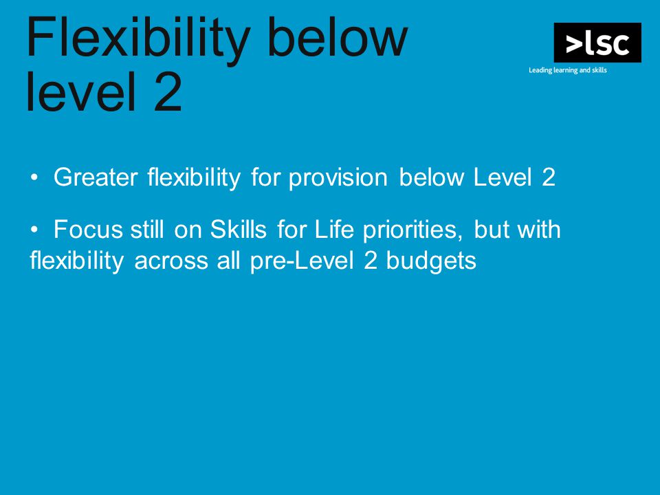 Flexibility below level 2 Greater flexibility for provision below Level 2 Focus still on Skills for Life priorities, but with flexibility across all pre-Level 2 budgets
