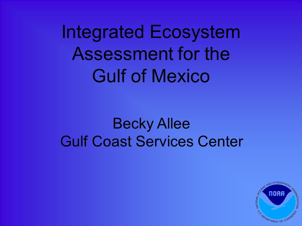 Integrated Ecosystem Assessment for the Gulf of Mexico Becky Allee Gulf Coast Services Center