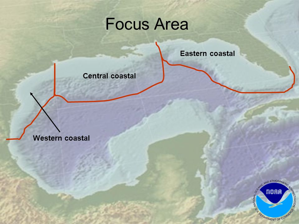 Central coastal Eastern coastal Western coastal Focus Area