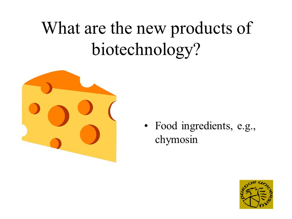 What are the new products of biotechnology Food ingredients, e.g., chymosin