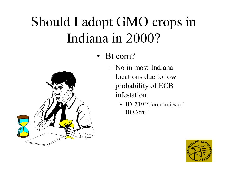 Should I adopt GMO crops in Indiana in Bt corn.