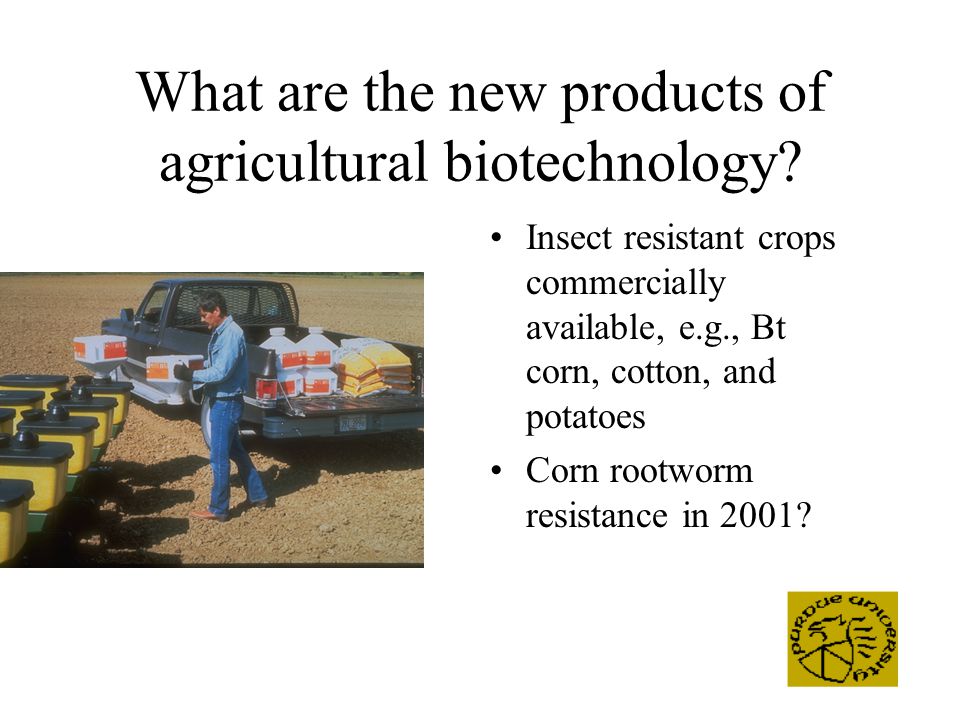 What are the new products of agricultural biotechnology.