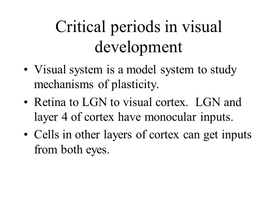 Critical periods in visual development Visual system is a model system to study mechanisms of plasticity.