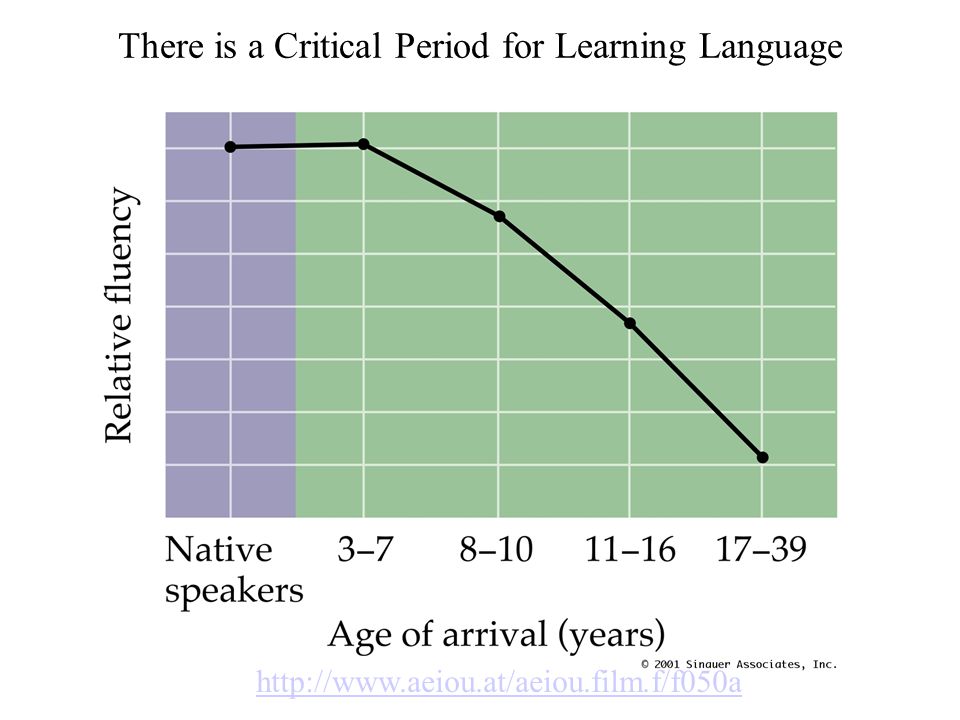 There is a Critical Period for Learning Language