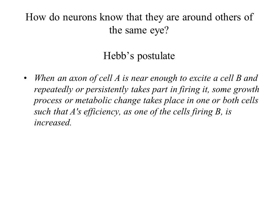 How do neurons know that they are around others of the same eye.