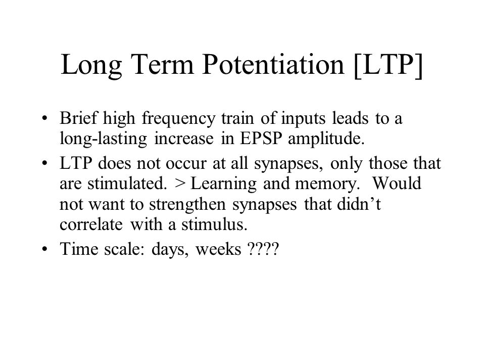 Long Term Potentiation [LTP] Brief high frequency train of inputs leads to a long-lasting increase in EPSP amplitude.