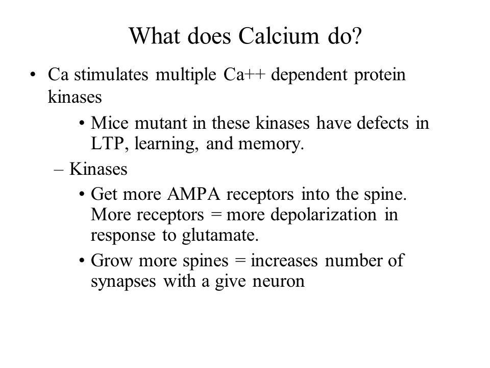 What does Calcium do.