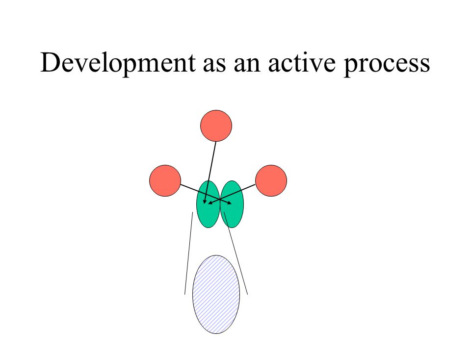 Development as an active process