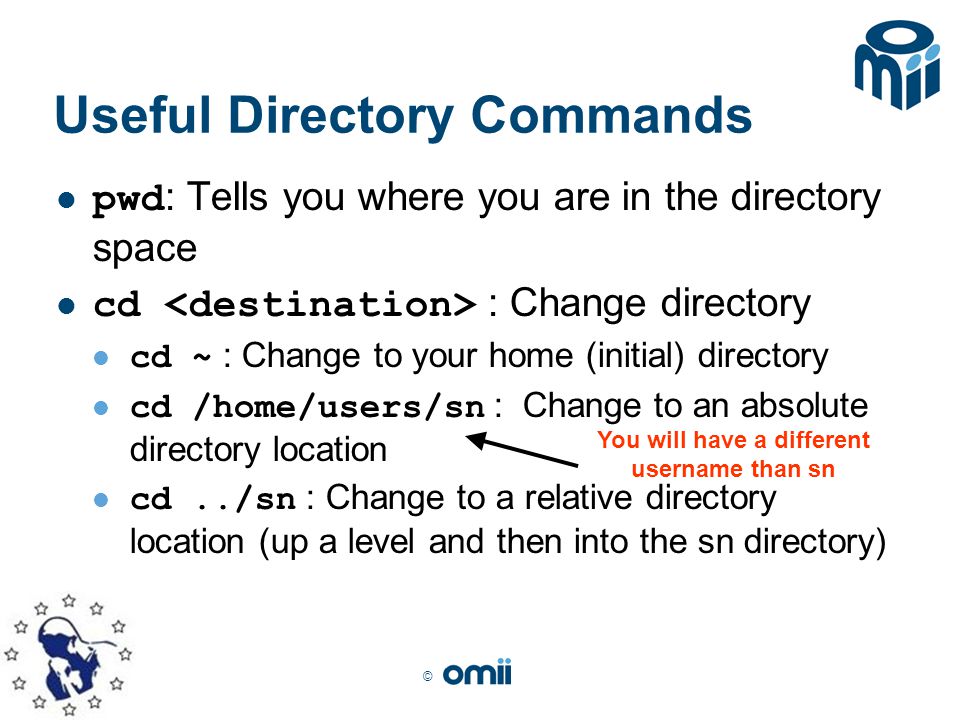 © Useful Directory Commands pwd : Tells you where you are in the directory space cd : Change directory cd ~ : Change to your home (initial) directory cd /home/users/sn : Change to an absolute directory location cd../sn : Change to a relative directory location (up a level and then into the sn directory) You will have a different username than sn