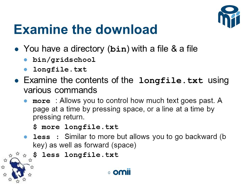 © Examine the download You have a directory ( bin ) with a file & a file bin/gridschool longfile.txt Examine the contents of the longfile.txt using various commands more : Allows you to control how much text goes past.