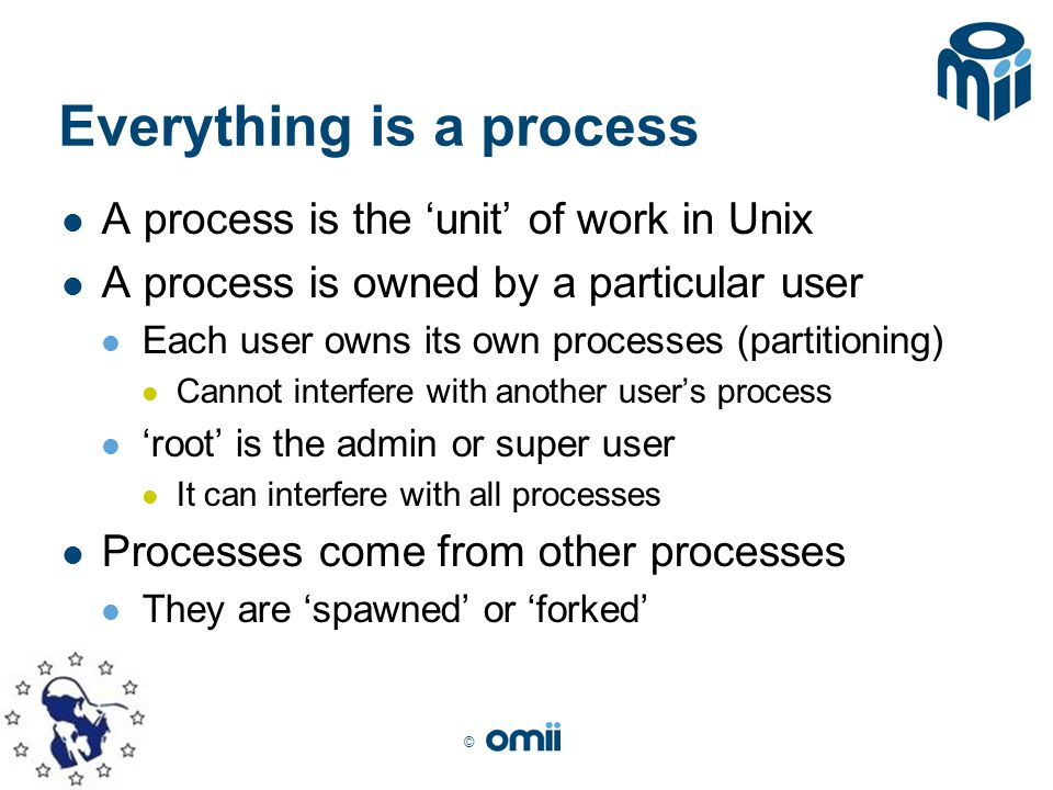 © Everything is a process A process is the ‘unit’ of work in Unix A process is owned by a particular user Each user owns its own processes (partitioning) Cannot interfere with another user’s process ‘root’ is the admin or super user It can interfere with all processes Processes come from other processes They are ‘spawned’ or ‘forked’