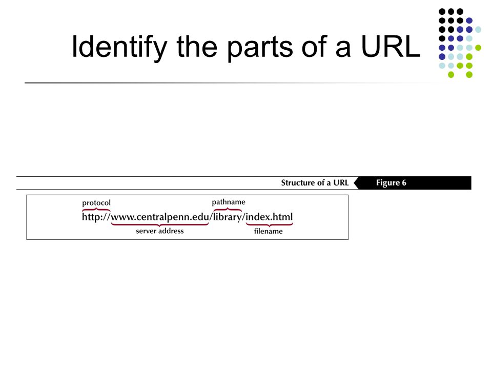 Identify the parts of a URL