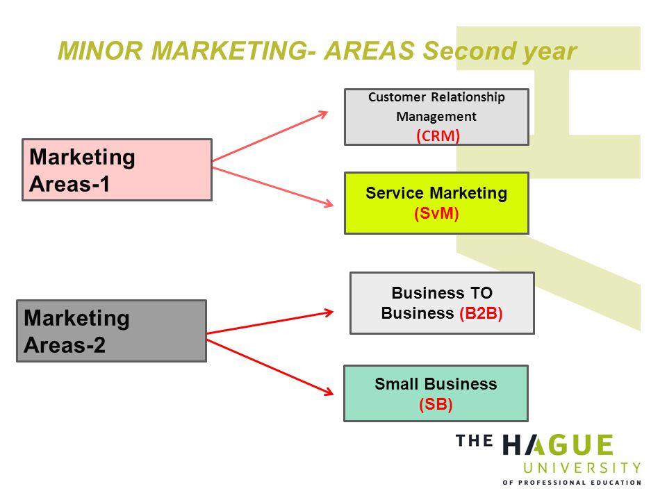 MINOR MARKETING- AREAS Second year Customer Relationship Management (CRM) Marketing Areas-1 Marketing Areas-2 Service Marketing (SvM) Business TO Business (B2B) Small Business (SB)