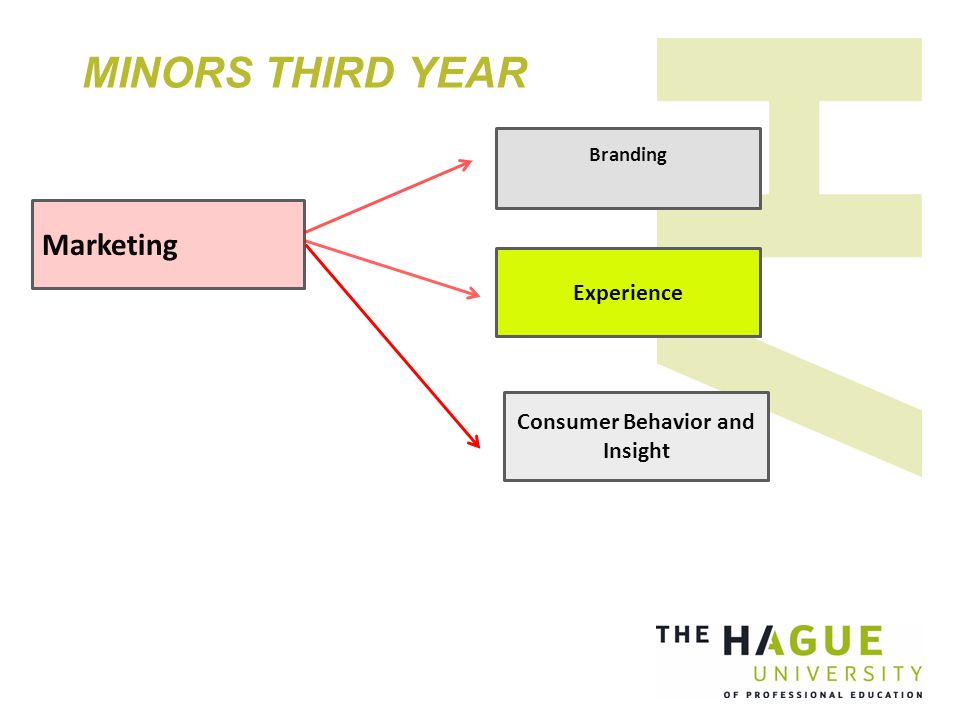 MINORS THIRD YEAR Branding Marketing Experience Consumer Behavior and Insight